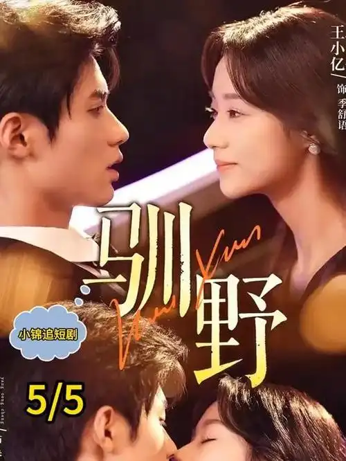 山海之间都市情感剧全集在线观看
